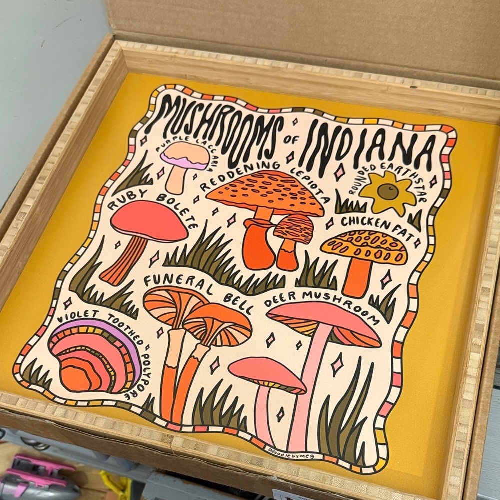 Mushrooms of Indiana by Doodle by Meg Framed Art Print Deny Designs Square Tray